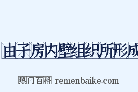 由子房内壁组织所形成是什么意思的图片